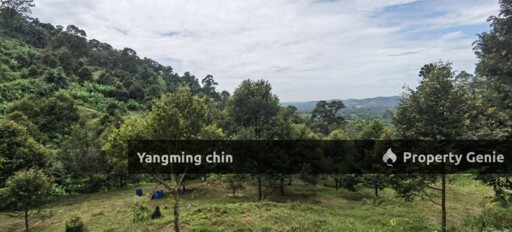 Chenderiang, Tapah Land For Sale
