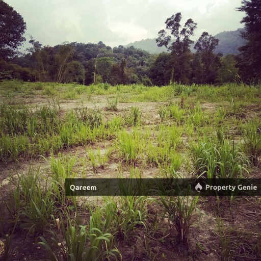 2.98 Ekar Tanah Pertanian Hulu Tamu Batang Kali. Sesuai Bina Rumah
