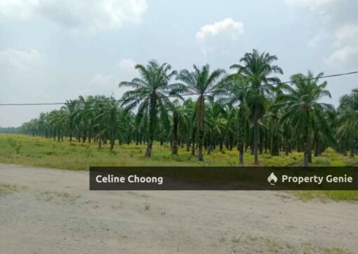 Perak kg gajah solar land