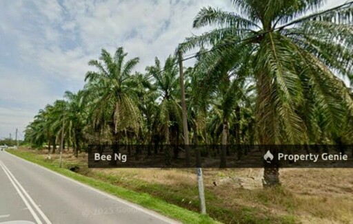 Benut / Pontian / Devolopment Land For Sale