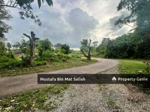 [Tanah Zon Kampung] Kg Air Melintas Besar, Tasek Gelugor