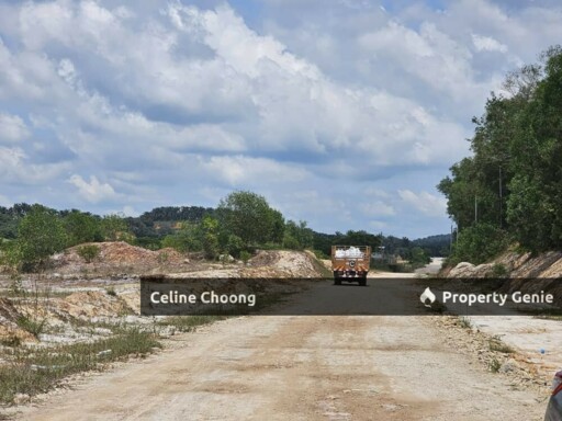 Teluk  intan , perak, palm oil land