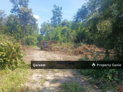 [FEEEHOLD] 3 Ekar Pekan Rasa, Sebelah Sungai. Batang Kali