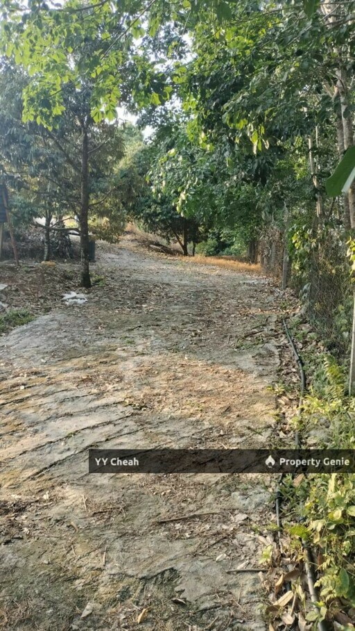 Kuala Kangsar Perak - freehold agriculture for sale, 4 acres, easy access
