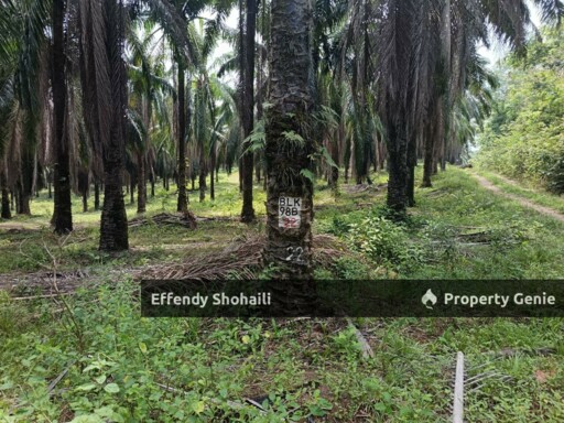 TEMERLOH KERDAU DEVELOPMENT LAND
