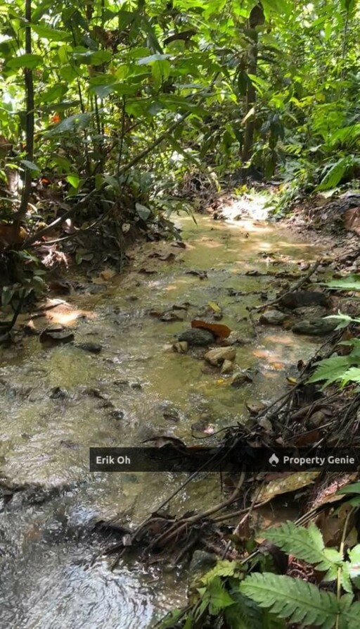 Kuala Kubu Bharu Agriculture Land for Sale (Mukim Ampang Pecah, Hulu Selangor)
