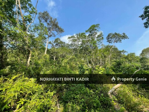 (HOT AREA) TANAH KEBUN DI BUKIT KUIN 2, KUANTAN