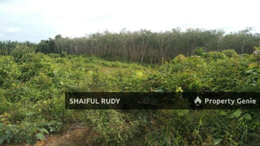 TANAH PERTANIAN untuk Dijual di Kampung Bukit Tingkat, Mukim Sanggang, Temerloh, Pahang