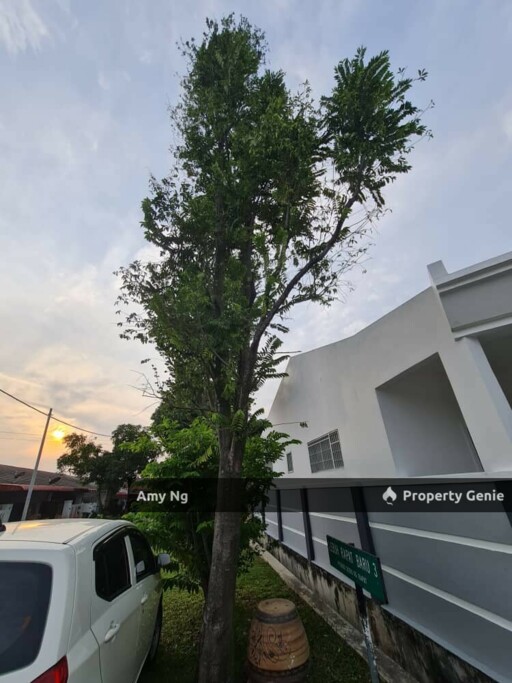 𝗦𝗶𝗻𝗴𝗹𝗲 𝗖𝗼𝗿𝗻𝗲𝗿 Good Condition For Sale Soon Choon Botani