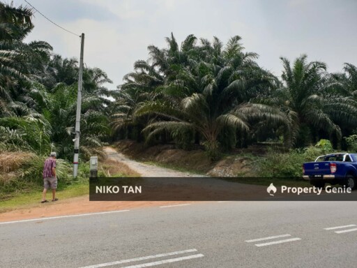 Kota Tinggi  Agriculture Land With Oil Palm Tree For Sale