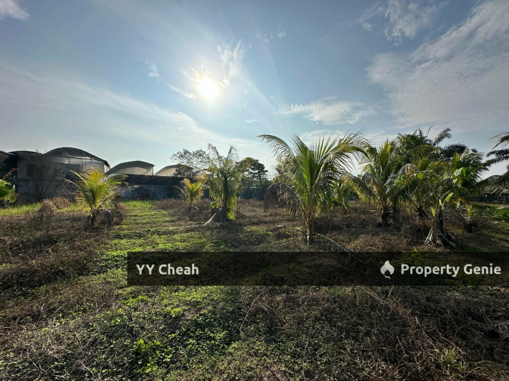Gopeng Ipoh Perak Agriculture Flat Land For Sale, Freehold Beside road Agricultural Land