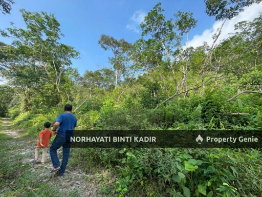 (HOT AREA) TANAH KEBUN DI BUKIT KUIN 2, KUANTAN
