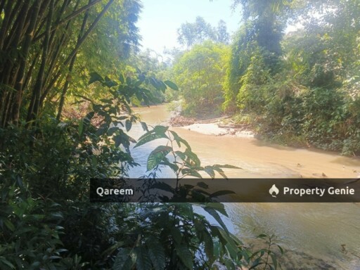 [FEEEHOLD] 3 Ekar Pekan Rasa, Sebelah Sungai. Batang Kali