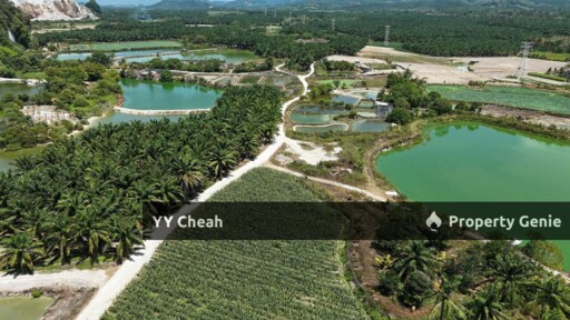Kanthan Chemor, Ipoh. Agriculture Land 25 Acres