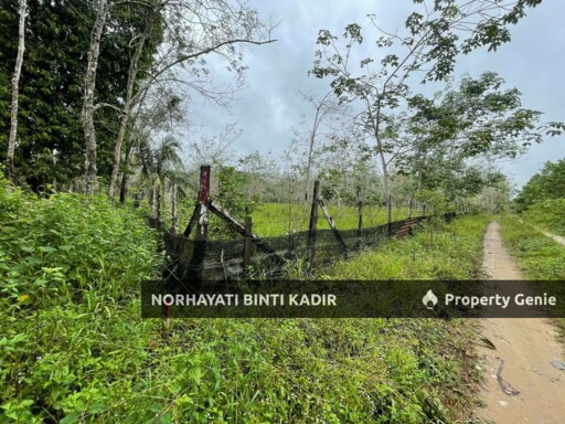 TANAH PERTANIAN KEBUN GETAH 7.5 EKAR DI PENOR