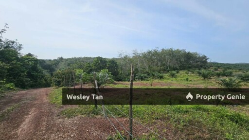 Durian Tunggal Below Value Oil Palm Approx 6.5acres land Freehold Road