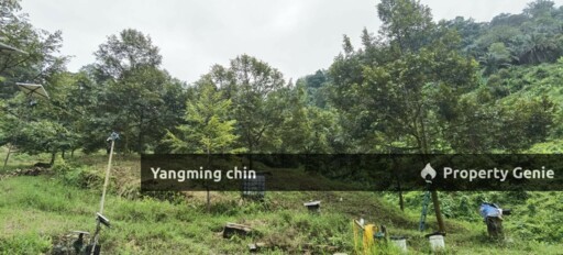 Chenderiang, Tapah Land For Sale