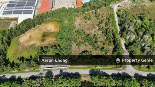 Tanjung Minyak  Facing Main Road Freehold  Commercial land