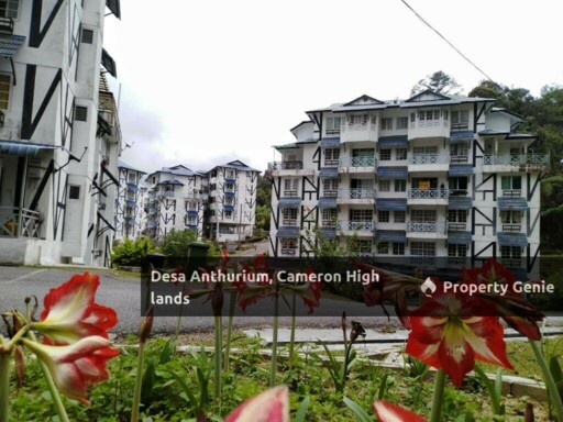 Desa Anthurium, Cameron Highlands