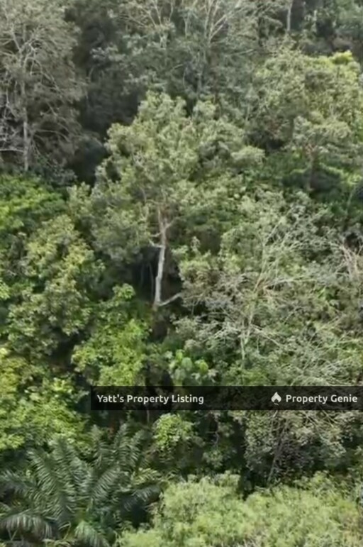 1 Acre Agricultural Land for Sale  Sg Merab, Kajang    Durian Orchard Near River, 5 Mins to IOI City Mall - RM750k  Https://Www.Wassap.My/60163169225/Tanahkgsgmerab1 Acre Agricultural Land for Sale  S