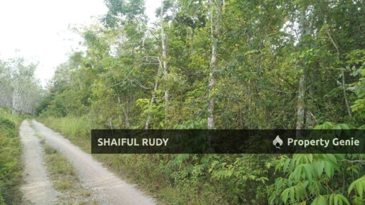 TANAH PERTANIAN untuk Dijual di Kampung Bukit Tingkat, Mukim Sanggang, Temerloh, Pahang