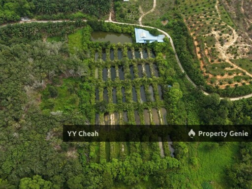 Aquaculture Land For Sale Jerlun Kuala Kangsar 4.12acres Freehold