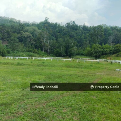 JELEBU KENABOI KG CHENNAH AGRICULTURAL LAND