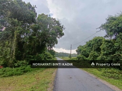 (BELOW MARKET) 2 EKAR TANAH PERTANIAN DI PEKAN, PAHANG