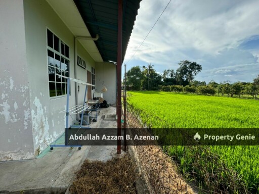 NEGO SAMPAI JADI !!! TAMAN PADANG NYU ARAU