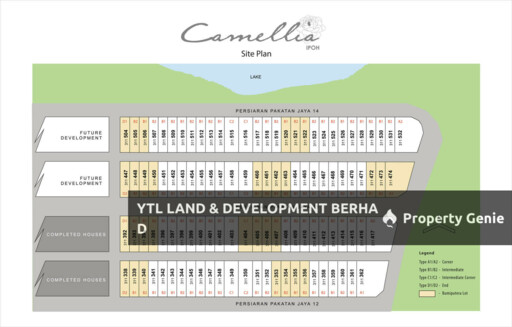 Camellia Ipoh