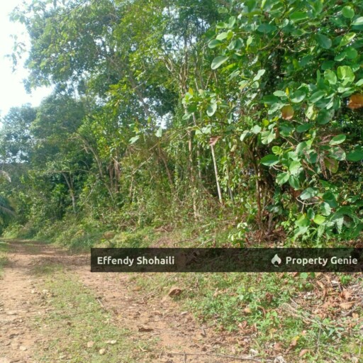 SUNGAI PEDANG HULU YAM AGRICULTURAL LAND