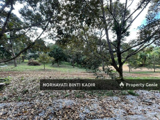 (HOT AREA) LOT BANGLO RTP BUKIT GOH BERHAMPIRAN KOTASAS