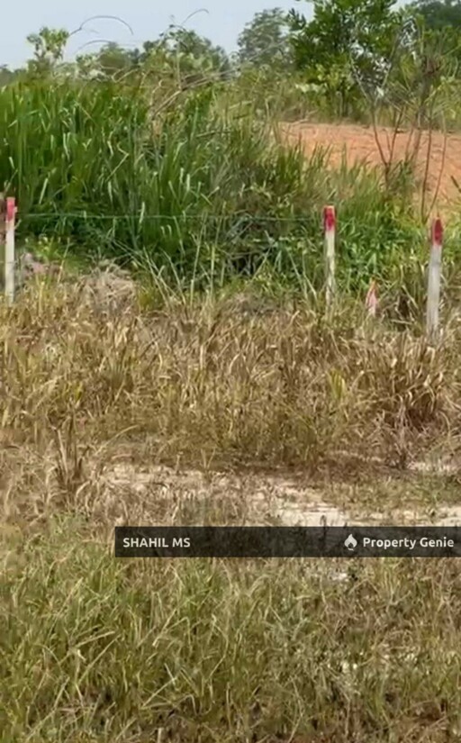 sp0045 || SEGAMAT JOHOR || KAMPUNG TENGAH SEGAMAT || TANAH LOT KEDIAMAN || 2781 SQFT || RM120,000