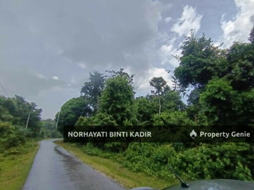 (BELOW MARKET) 2 EKAR TANAH PERTANIAN DI PEKAN, PAHANG