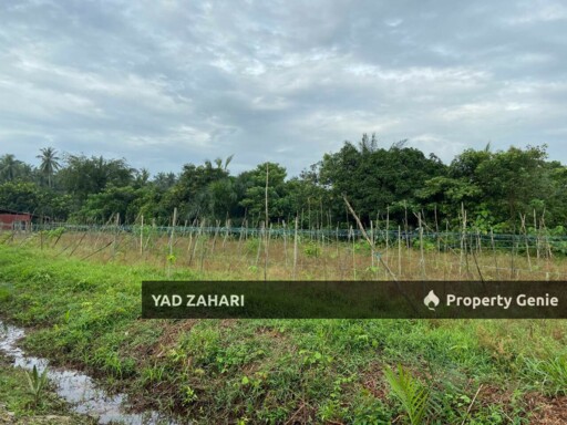 BELOW MV LAND FOR SALE : TANAH PERTANIAN 1.27 EKAR @ JALAN TELOK GONG KLANG