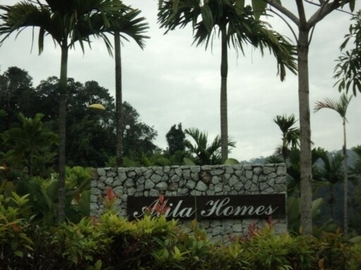 Alila Homes
