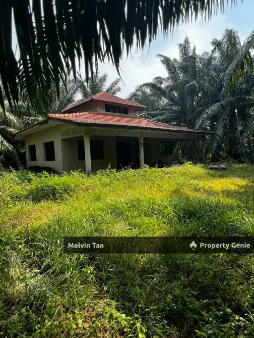 Alor Gajah,Lendu