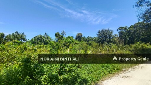 Tanah Jenis Pertanian di Permatang Habib, Pantai Sepat, Mukim Penor, Daerah Kuantan