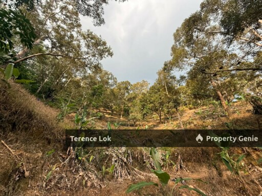 Titi KENABOI KG CHENNAH, KUALA KLAWANG JELEBU TITI KENABODURIAN RUBBER LAND, Kuala Klawang