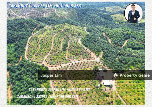 Kunak Plantation Land