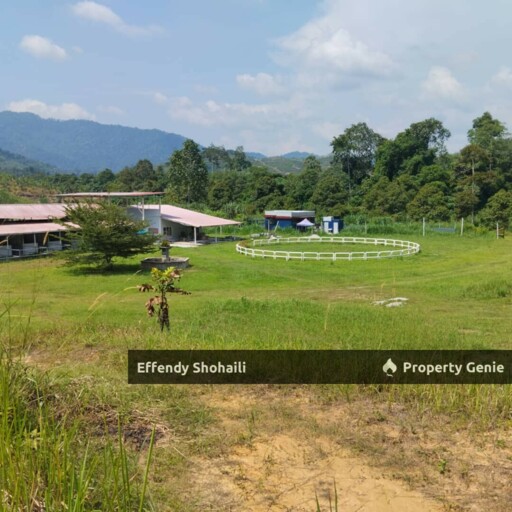 JELEBU KENABOI KG CHENNAH AGRICULTURAL LAND