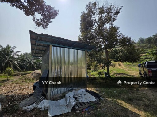 Sg Siput Perak 10 Acres Agri Land For Sale Durian & Orchard 10 Acres Freehold