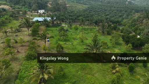 Jalong Tinggi Sg Siput Easy Entry with Asphalt Road 4 Acres Durian Orchard Farm