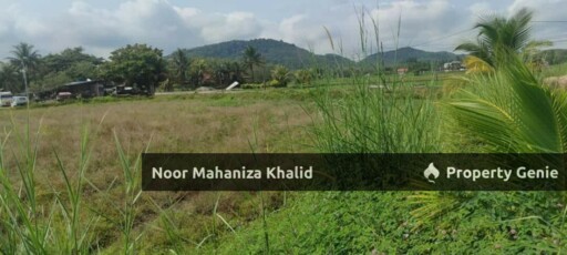 Tanah Pertanian Batu Tambun, Mukim Rambai Kedah