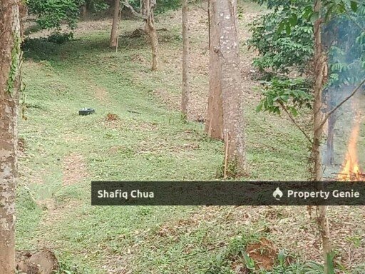 Beautiful Orchard Land for Sale in Ulu Melaka, Langkawi