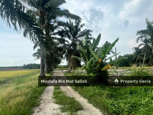 [Tanah Zon Kampung] Kg Air Melintas Besar, Tasek Gelugor