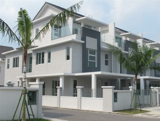 Grandis Palms