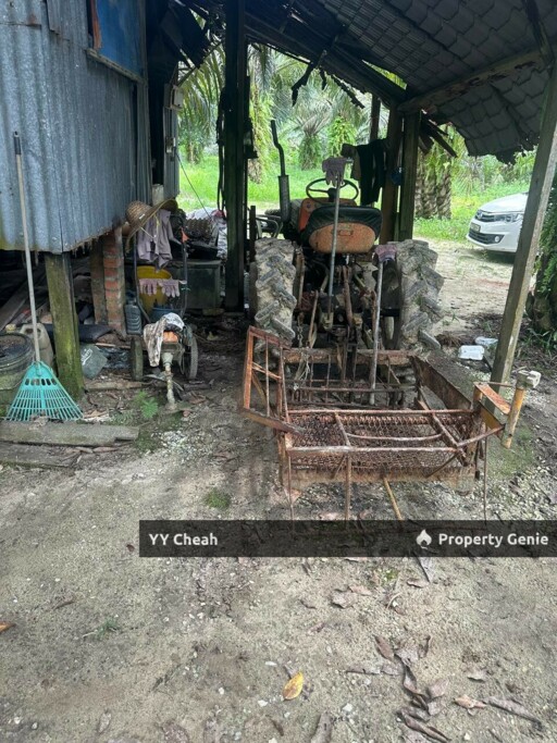 Jeram Agri Land, Perak - Freehold - Palm oil + bired nest, normal car can go