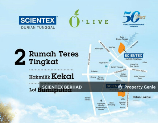 Olive, Scientex Durian Tunggal