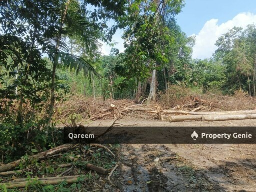 [FEEEHOLD] 3 Ekar Pekan Rasa, Sebelah Sungai. Batang Kali